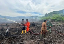 Asap Masih Terlihat di Titik Api Kebakaran Lahan Gambut di Aceh Selatan