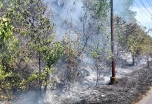Kebakaran Padang Ilalang Hanguskan Dua Hektare Lahan di Deah Mamplam Aceh Besar