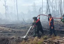 Belasan Hektar Lahan Gambut yang Terbakar di Aceh Selatan Belum Padam Total