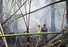 Api Lahap Satu Hektare Lahan Rumbia Dekat Pemukiman Warga Gampong Kayee Adang