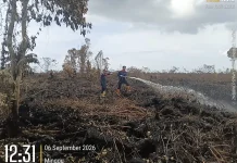Karhutla di Aceh Barat Berhasil Dipadamkan 90 Persen, Petugas Masih Atasi Titik Api