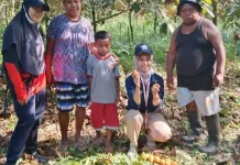 TEP Universitas Indonesia Dorong Pala Werianggi Jadi Produk Unggulan Papua Barat