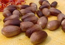 Pala Werianggi Berpotensi Jadi Produk Unggulan Berbasis Riset