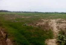 Stafsus Gubernur Terima Aduan Sawah Rusak Pascabencana di Aceh