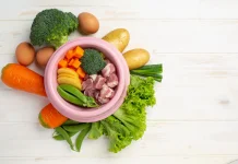 Ketahui Tiga Nutrisi Penting untuk Menjaga Kadar HB
