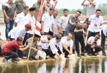 Lima Gampong di Aceh Timur Terima 4,2 Juta Benur untuk Pulihkan Tambak Pascabencana