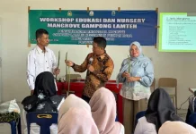 Peukan Bada Jadi Sentra Pembibitan Mangrove
