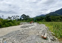 Banjir Aceh Tenggara Rusak Puluhan Hektare Lahan Pertanian dan Infrastruktur