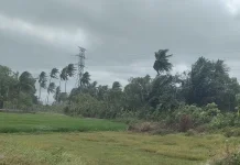 Peringatan Dini Cuaca Aceh, Sejumlah Wilayah Berpotensi Hujan Lebat
