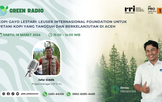 Program Kopi Gayo Lestari Perkuat Petani dan Lingkungan