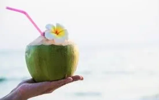 Rekomendasi Minuman Segar saat Cuaca Panas, dari Es Kelapa hingga Infused Water