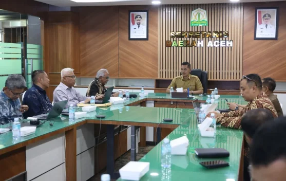 Migas Blok Andaman, Sejumlah Korporasi Lirik Hilirisasi KEK Arun
