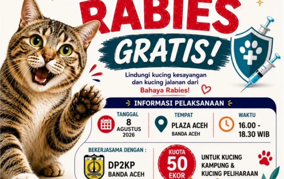 Vaksin Rabies Gratis Disediakan untuk 50 Ekor Kucing di Banda Aceh