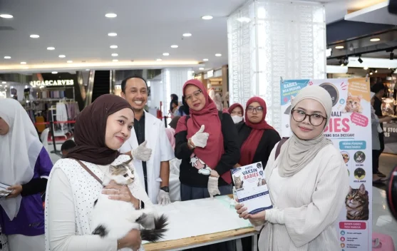 Memperingati International Cat Day, Cat Lovers Gelar Tribute Kucing Kampung