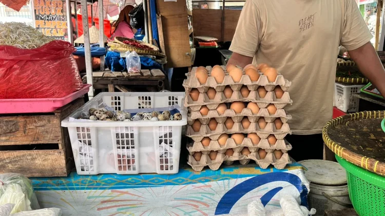Harga Telur Naik di Hari Pertama Ramadan