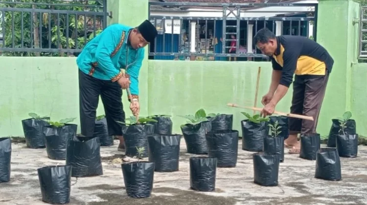 Pegawai KUA Way Bungur Tanam Sayuran Kantor