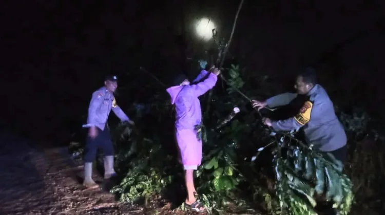 Hujan Deras, Jalan Sinar Jawa Tanggamus Longsor
