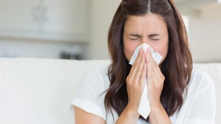 Mengapa Kita Bersin saat Terkena Debu? Cara Tubuh Melindungi Diri