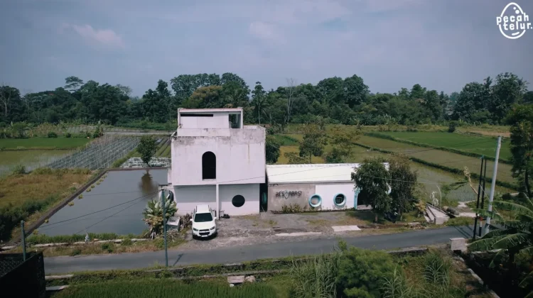 Tinggalkan Karir di Jakarta Demi Bangun Kafe di tengah Sawah