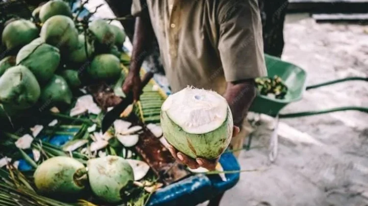 Kian Marak Pedagang Kelapa Murni di Bandar Lampung