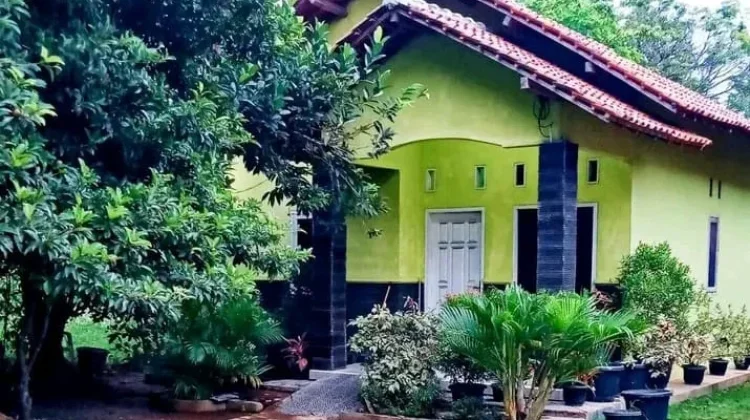 Manfaat Tanaman Hias di Halaman Rumah untuk Keindahan dan Kesehatan Lingkungan