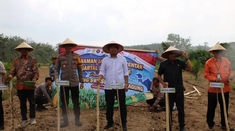 Polres Mesuji Gelar Penanaman Jagung Serentak Dukung Ketahanan Pangan