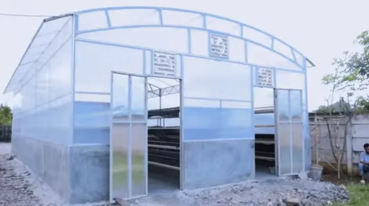 Pringsewu Siapkan Sentra Produksi untuk Kembangkan Industri Mocaf