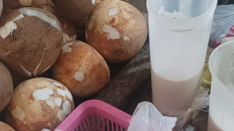 Kebutuhan Santan Naik saat Persiapan Menu Lebaran