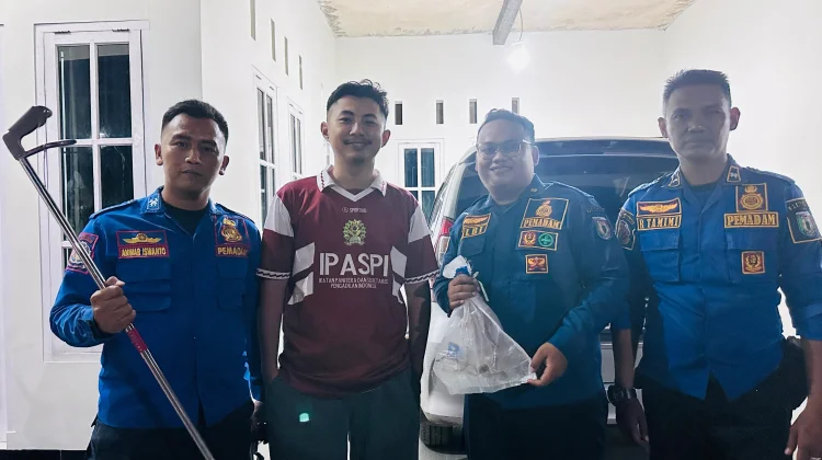 Damkar Pringsewu Evakuasi Tokek di Rumah Warga Gadingrejo