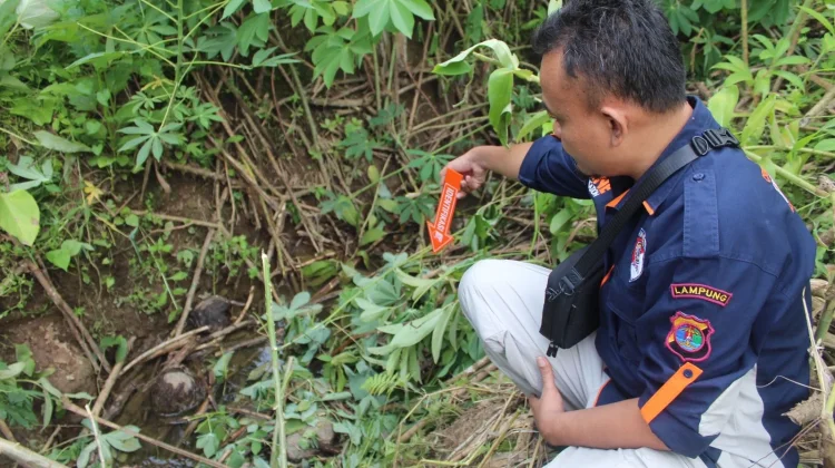 Polres Tanggamus Tangkap Residivis Pelaku Penganiayaan