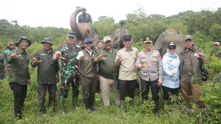 Pagar 138 Km Way Kambas Jadi Penggerak Ekonomi Baru 27 Desa Penyangga