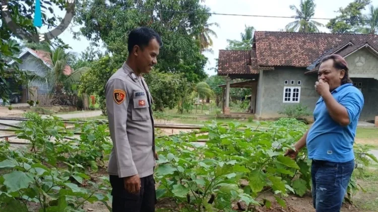 Bhabinkamtibmas Beri Arahan Penanaman Terong