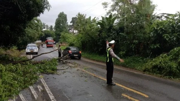 Satlantas Polres Lampung Utara Evakuasi Pohon Tumbang di Jalinsum