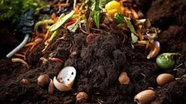 Cara Membuat Kompos Rumahan dari Sisa Dapur untuk Menyuburkan Tanaman