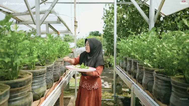 Mantan Tukang Parkir Sukses dengan Petani Cerdas Air