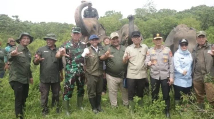 Penguatan Desa Penyangga Di Wilayah Konservasi TNWK