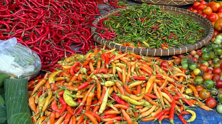 Harga Hortikultura Bergejolak, NTP Lampung Maret 2026 Turun 1,49 Persen