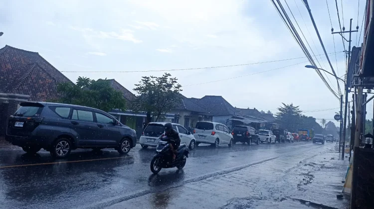 Pohon Tumbang Picu Kemacetan Panjang di Jalan Raya Negeri Sakti Pesawaran
