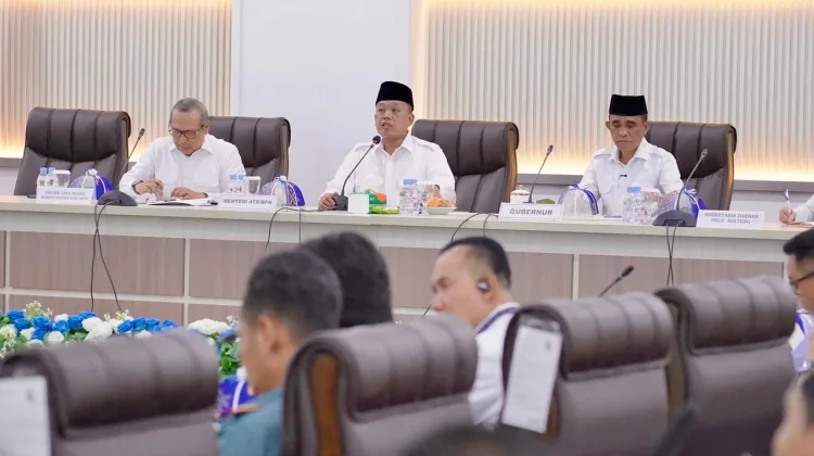 Geopolitik Global Tak Stabil, Menteri ATR Batasi Alih Fungsi Sawah