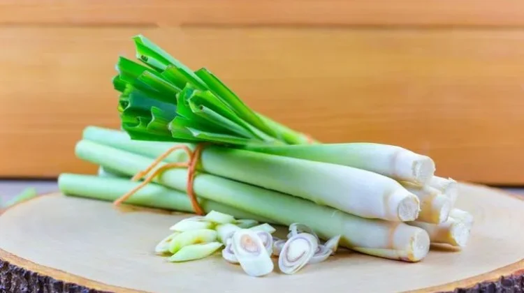 Serai Tak Sekadar Bumbu Dapur, Ini Manfaatnya untuk Mulut dan Kulit