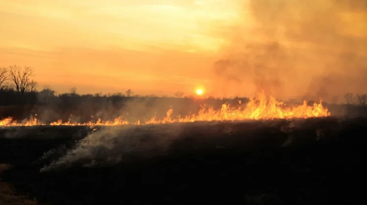 Antisipasi Karhutla, Pemprov Lampung Larang Pembakaran Lahan saat El Nino