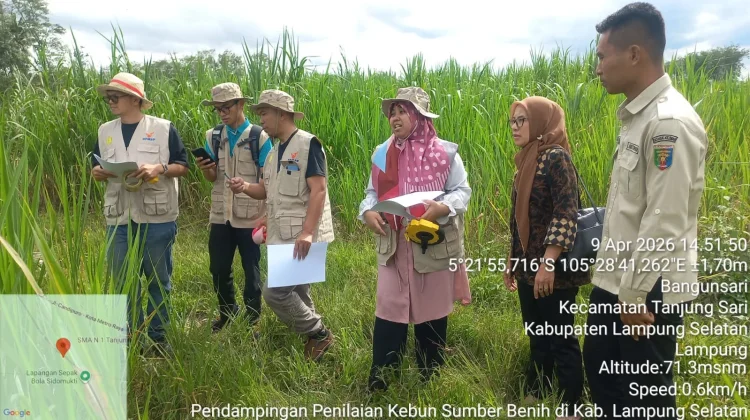 Dinas Peternakan Lampung Dampingi Penilaian KSB Pakchong di Lampung Selatan