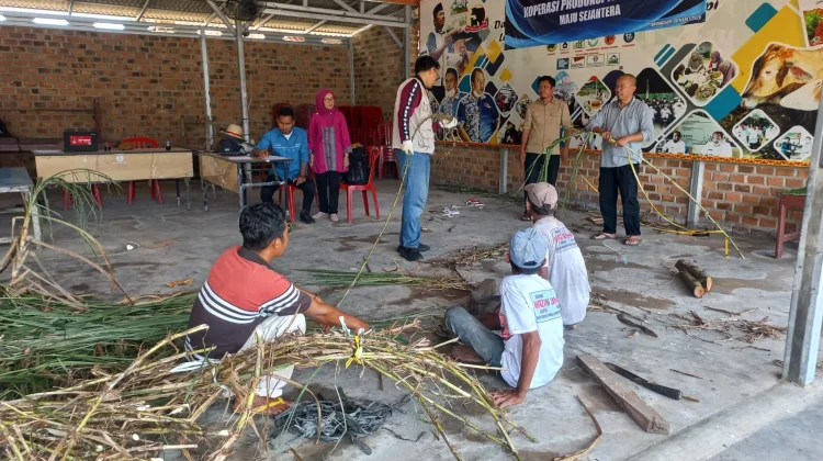Sertifikasi KSB Perkuat Ketahanan Pakan Ternak di Lampung