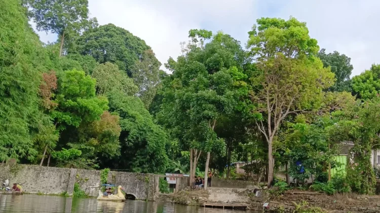 Jejak Kehidupan di Dam Margo Tirto