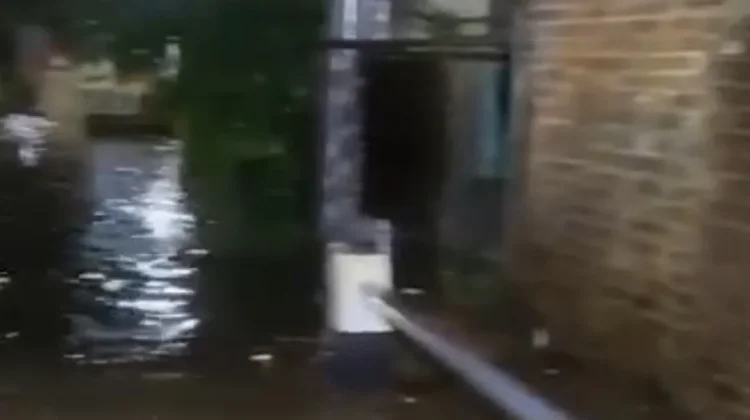 Banjir Bandar Lampung Momentum Perbaikan Tata Kelola Lingkungan dan Kota