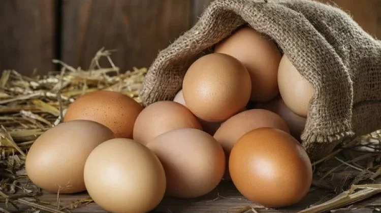 Protein pada Telur Rebus Lebih Mudah Diserap Tubuh Dibandingkan Daging