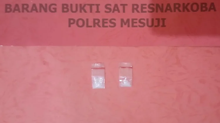 Sat Narkoba Mesuji Amankan Pelaku dan Barang Bukti Sabu di Simpang Pematang