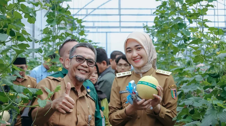 Wagub Panen Raya Melon di Natar