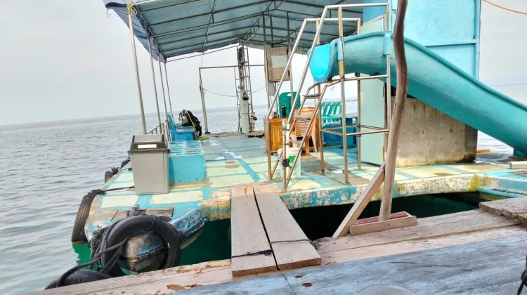 BUMDes Pahawang Serap Tenaga Kerja, Dorong Kemandirian Ekonomi Desa