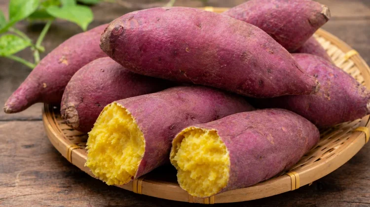 Sering Kentut setelah Makan Ubi? Ini Fakta Unik di Baliknya